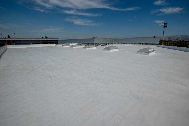 Best Commercial Roofing Services  in Alamo, TN